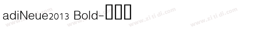 adiNeue2013 Bold字体转换